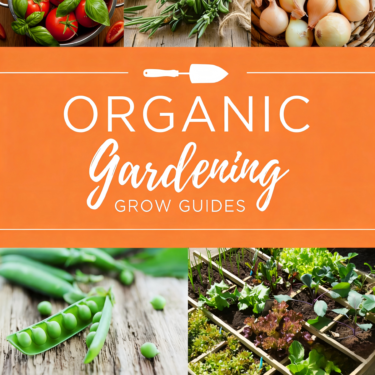 Ebook Organic Vegetables Gardening Grow Guides