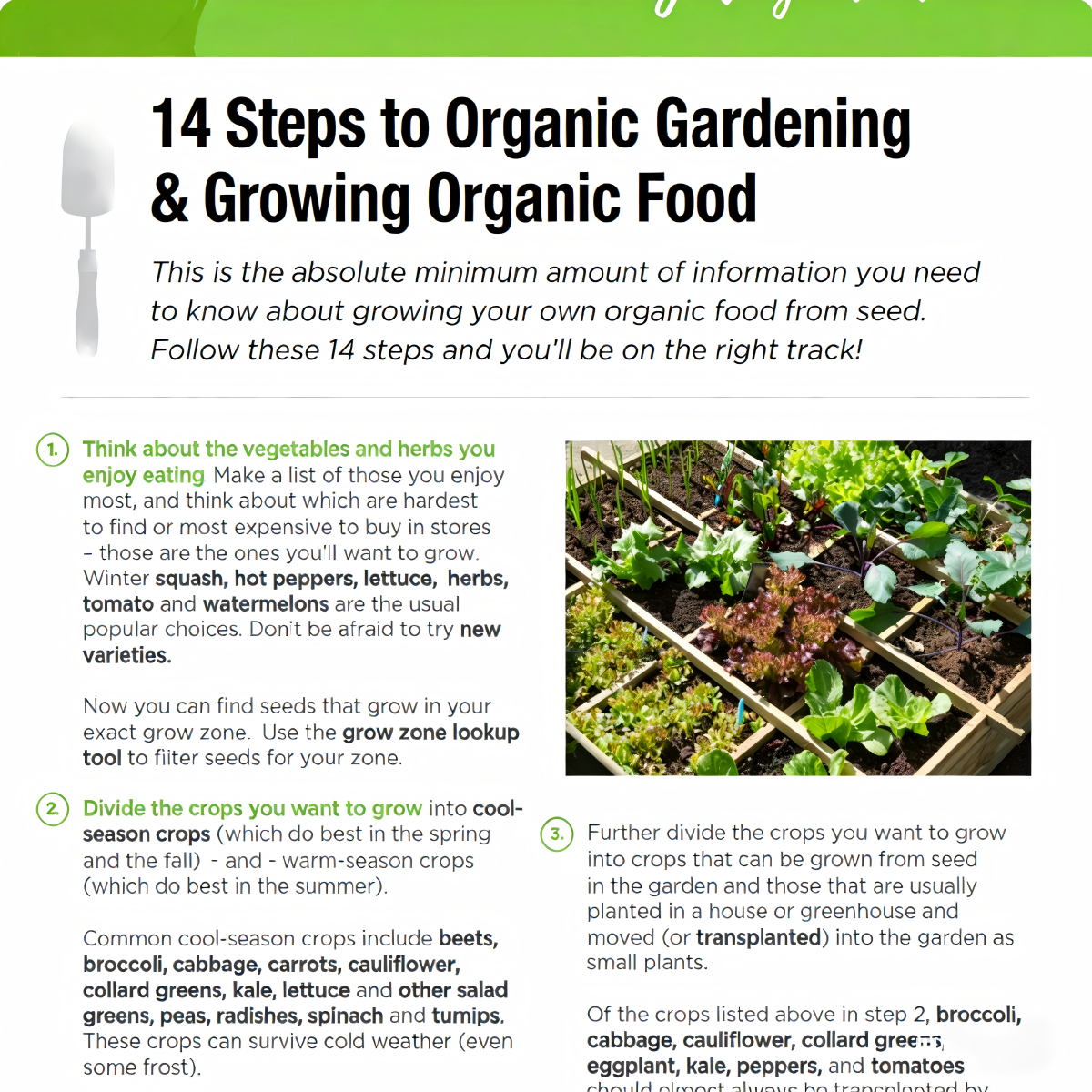 Ebook Organic Vegetables Gardening Grow Guides