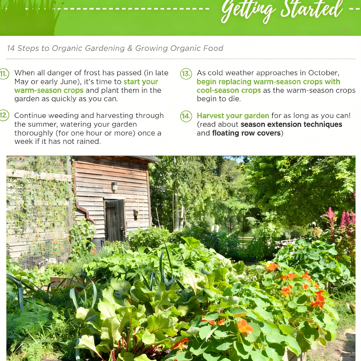 Ebook Organic Vegetables Gardening Grow Guides