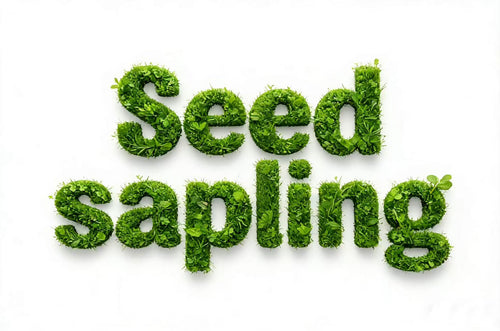 Seed sapling